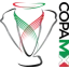 كأس المكسيك