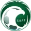 دوري الدرجة الأولى السعودي للمحترفين