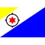 بونير