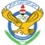 القوة الجوية